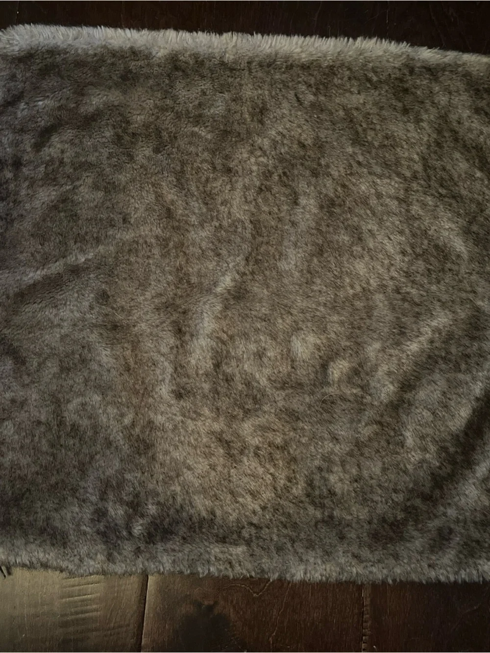 Pottery Barn Pillow Cover 18